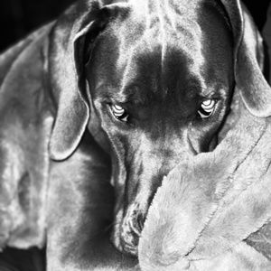 New & Vintage Clothing